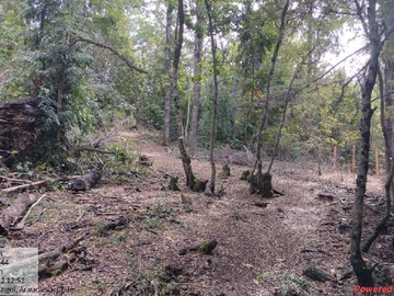 Terreno en venta en Vendo Parcela en la Ciudad de Angol, Sector Chanleo.