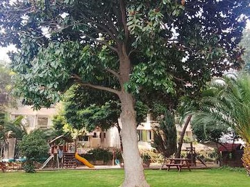 Venta / Departamento / Vitacura