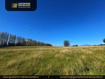 Terreno en venta en Orillas Del Lago Llanquihue, Puerto Octay (143168), Puerto Octay