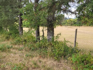 Venta / Parcela / Villarrica