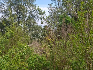 Terreno en venta en Parcelas Ecologicas con Impresionantes Vistas Pucalan, Puchuncaví