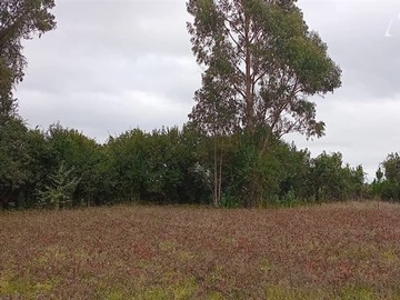 Parcela en venta en Nancahue, Loncoche