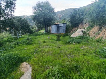 Venta / Terreno / Santa Cruz