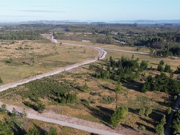 Venta / Terreno Agricola / Maullín