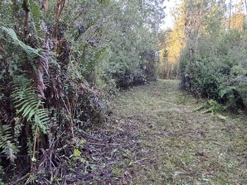 Terreno en venta en parcela en venta (101810), Puerto Varas - 1 dormitorio, 1 baño