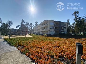 Departamento en venta en Av. Santa Teresa de Los Andes / Jardines de la Candelaria / Amoblado, Algarrobo - 2 dormitorios, 2 baños