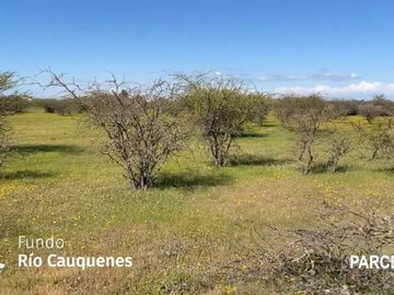 Parcela en venta en M-670, Cauquenes