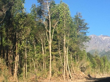 Terreno en venta en Parcela 5.000 m² Sector Río Pescado Puerto Varas (176143), Puerto Montt
