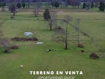 Parcela en venta en Valdivia, Valdivia