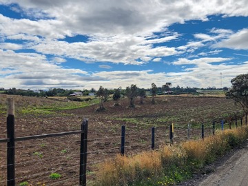 Parcela en venta en puqueldon, Puqueldón