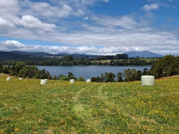 Terreno en venta en Orilla laguna bonita hectareas Puerto Octay (171990), Puerto Octay
