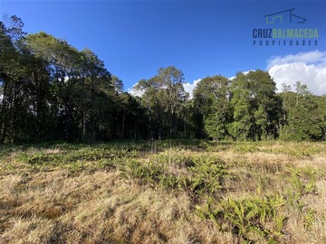 Parcela en venta en Loteo Las Tranqueras, Puerto Varas