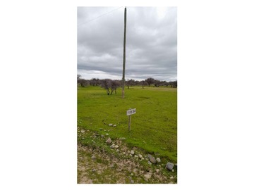 Parcela en venta en Venta de Parcela en Cauquenes