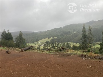 Parcela en venta en Queule Sector Piren Bajo, Toltén