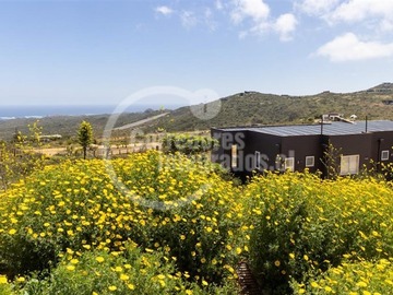Sitio en venta en Los molles, La Ligua