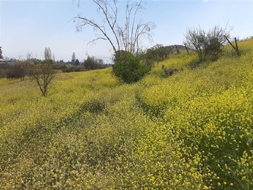 Venta / Sitio / Colina