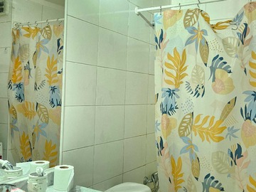 Venta / Departamento / Santiago