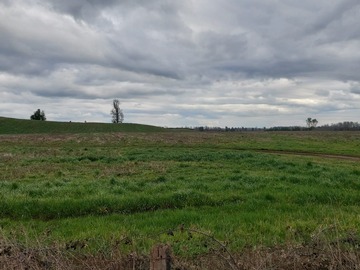Terreno Agricola en venta en Radal, Freire