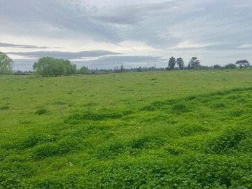 Venta / Terreno Agricola / San Carlos