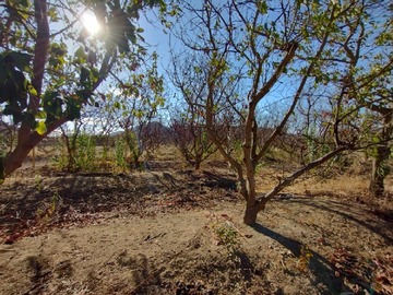 Terreno en venta en Larmahue, Pichidegua
