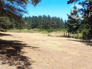 Terreno en venta en Fundo peñablanca - algarrobo, Algarrobo