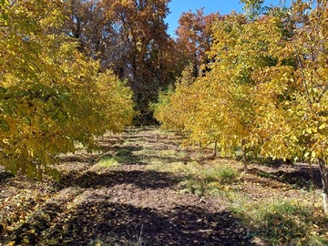 Parcela en venta en Santa rita de pirque con ramon subercaseaux, Pirque