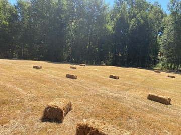 Parcela en venta en Villarrica, Villarrica