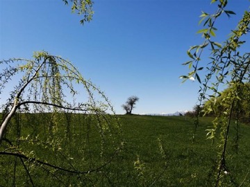 Terreno Agricola en venta en Mariposas 2 Norte, km 4, San Clemente