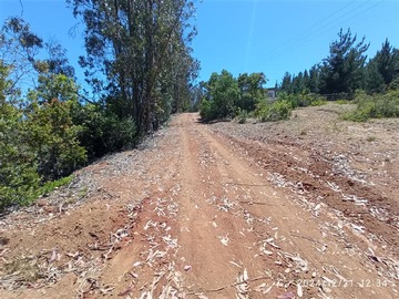 Sitio en venta en Sector melosilla, Algarrobo