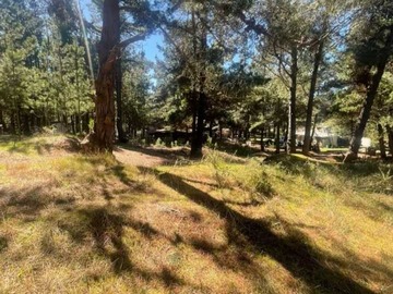 Terreno en venta en Gran parcela con casa,sector Curaimilla,Valpo (146301), Valparaíso - 2 dormitorios, 1 baño