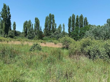 Terreno en venta en Parcela Rincón Romero, camino Catillo (177640), Parral