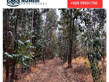 Terreno en venta en Se Vende Terreno, Sector la Espernza, Bulnes