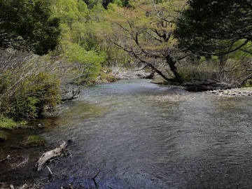Parcela en venta en cruce añihuarraqui, Curarrehue