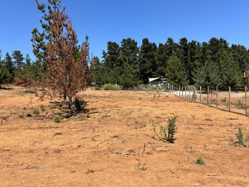 Sitio en venta en Colegio pukalan, Algarrobo