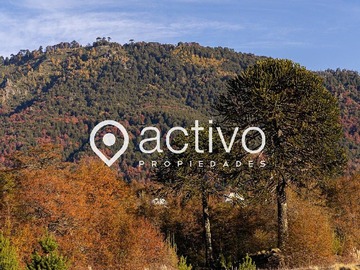 Terreno en venta en Inversionistas Terrenos Venta Malalcahuello
