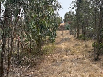 Sitio en venta en El membrillo, El Tabo