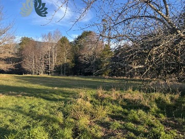 Venta / Terreno / Villarrica