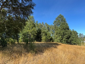 Parcela en venta en Villarrica, Villarrica
