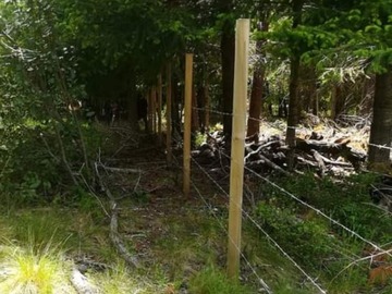 Terreno en venta en Ruta Palguín Coñaripe Km 14 – Paraíso Escondido – Pucón, Pucón