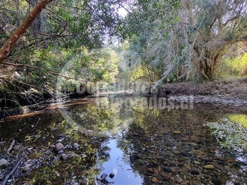 Venta / Parcela / Maullín
