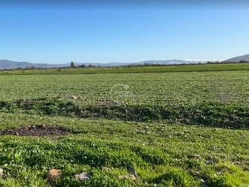 Terreno Agricola en venta en Punitaqui, Punitaqui - 3 dormitorios, 2 baños