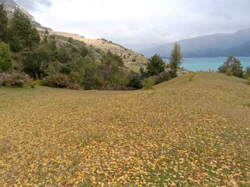 Terreno en venta en Entorno Natural y Tranquilidad Asegurada (159952), Río Ibáñez