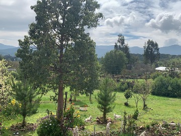 Venta / Parcela / Melipilla