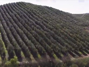 Sitio en venta en Fundo los Olivos Camino a Pencahue a 10 Minutos de Talca, Talca