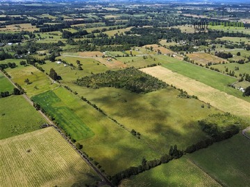 Terreno Agricola en venta en Colonia San Martin a 3,2 kms de Ruta 5 Sur y 15 minutos de Frutillar, Frutillar