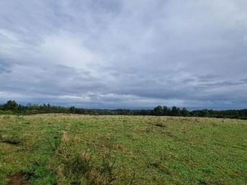 Parcela en venta en Tirua, tirua, Arauco