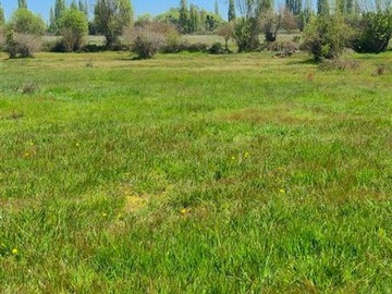 Parcela en venta en La amalia, Longaví