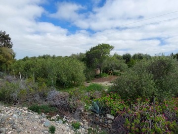 Parcela en venta en Los choros cercano a punta de choros, cuarta region, Coquimbo - 2 dormitorios, 1 baño