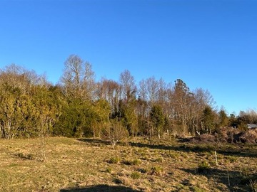 Venta / Parcela / Panguipulli