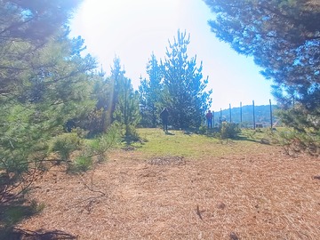 Terreno en venta en Melosilla, Casablanca